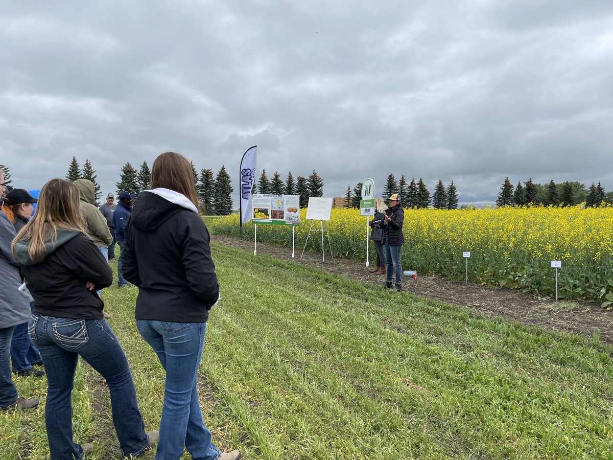 Devon Hillyer tweet media