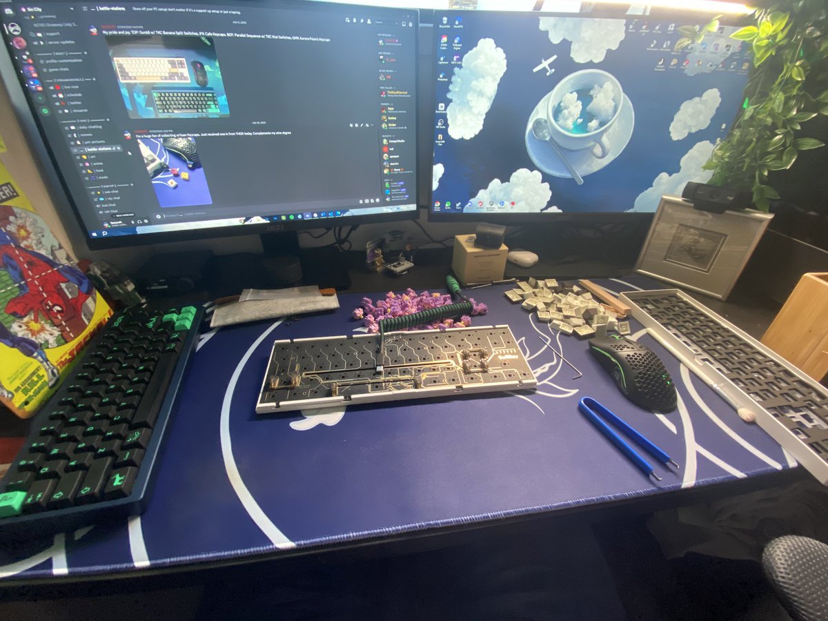 🍁 SinistrM | Twitch 🥝 (@SinistrM) / Posts / X
