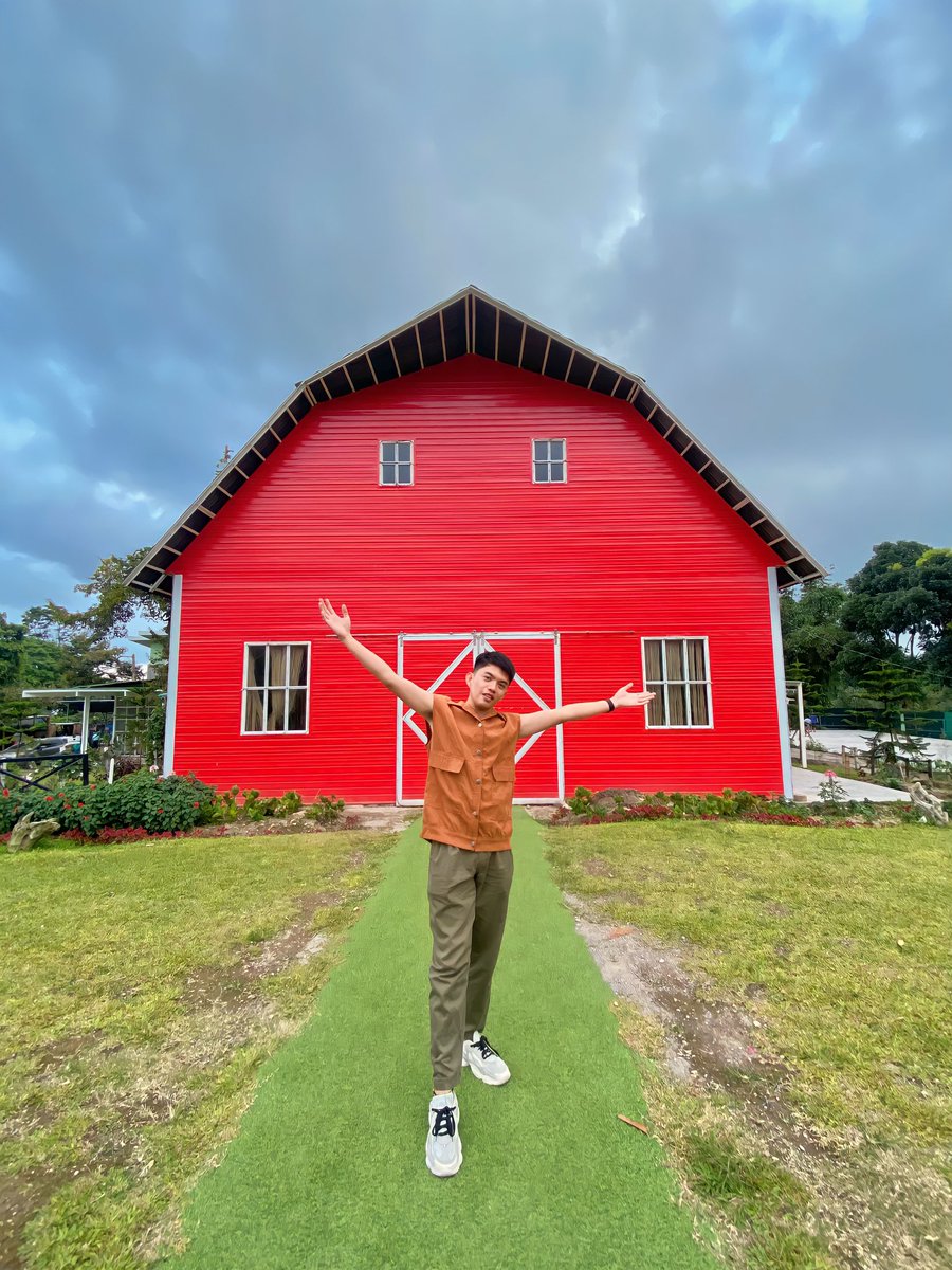 kdmeal_yum's tweet photo. After 2 years.
#sgfarm https://t.co/ZGtjsjZ05a