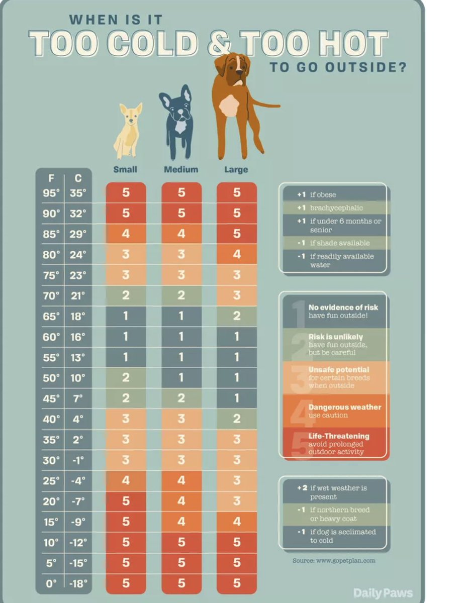 WGA and SAG-AFTRA picketers: Please DO NOT bring your dog to the picket line when the temperature is above 90º. Without shade sidewalk surface temp can be MUCH hotter, up to 125º, and dogs are very susceptible to heat stroke. Keep your pooch safe while you picket!!