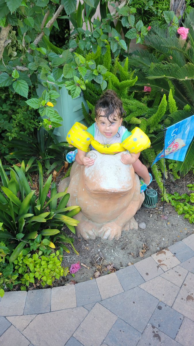 ChrisKier88's tweet photo. Iris and a frog https://t.co/sgNL0A2YwJ