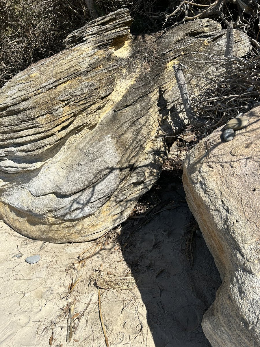 PublicBallina's tweet photo. We found a cave where you could seek shelter https://t.co/MIYr6ek9gL