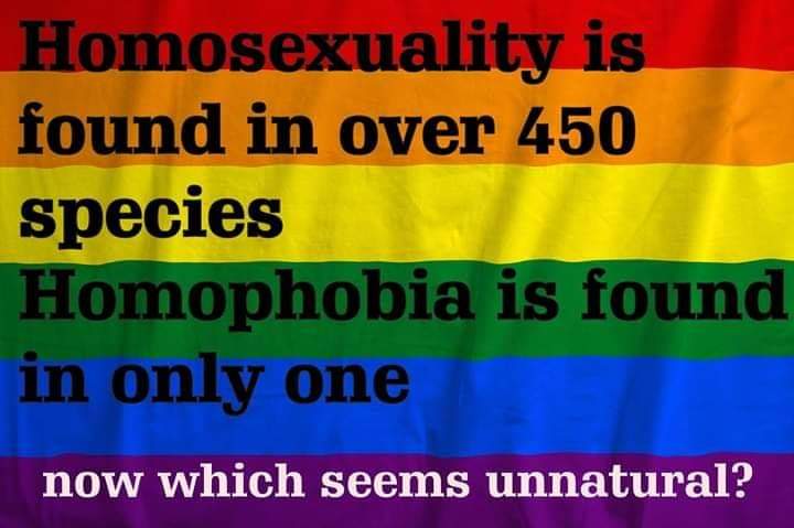 WhereTrueLoveIs's tweet image. 