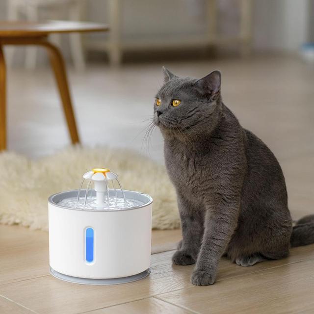 AdvanceOutdoorz's tweet photo. Looking for a new pet water fountain? This automatic pet water fountain with LED lighting is perfect for your pets. Check out our website to get yours delivered directly to you!

https://t.co/DB2f2hajOj

#catwaterfountain #waterfountain #pets #petshop #cats #catcare #petcare https://t.co/Iw8Yn8ovQt
