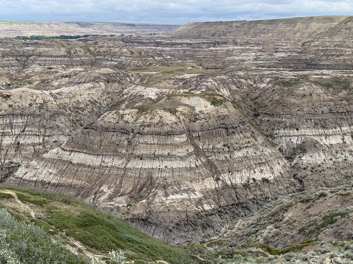 In Drumheller today with @cultura_geo for our field trip: Teredolites (shipworm burrows), estuarine point bar deposits, hoodoos and Horsethief Canyon