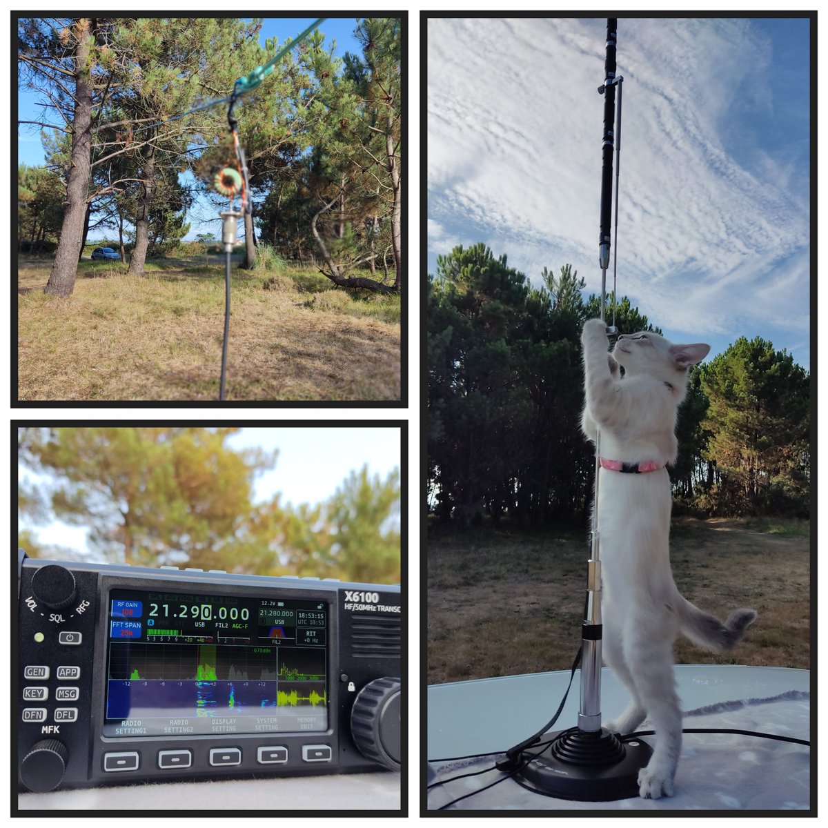 Ger EC1A tweet media