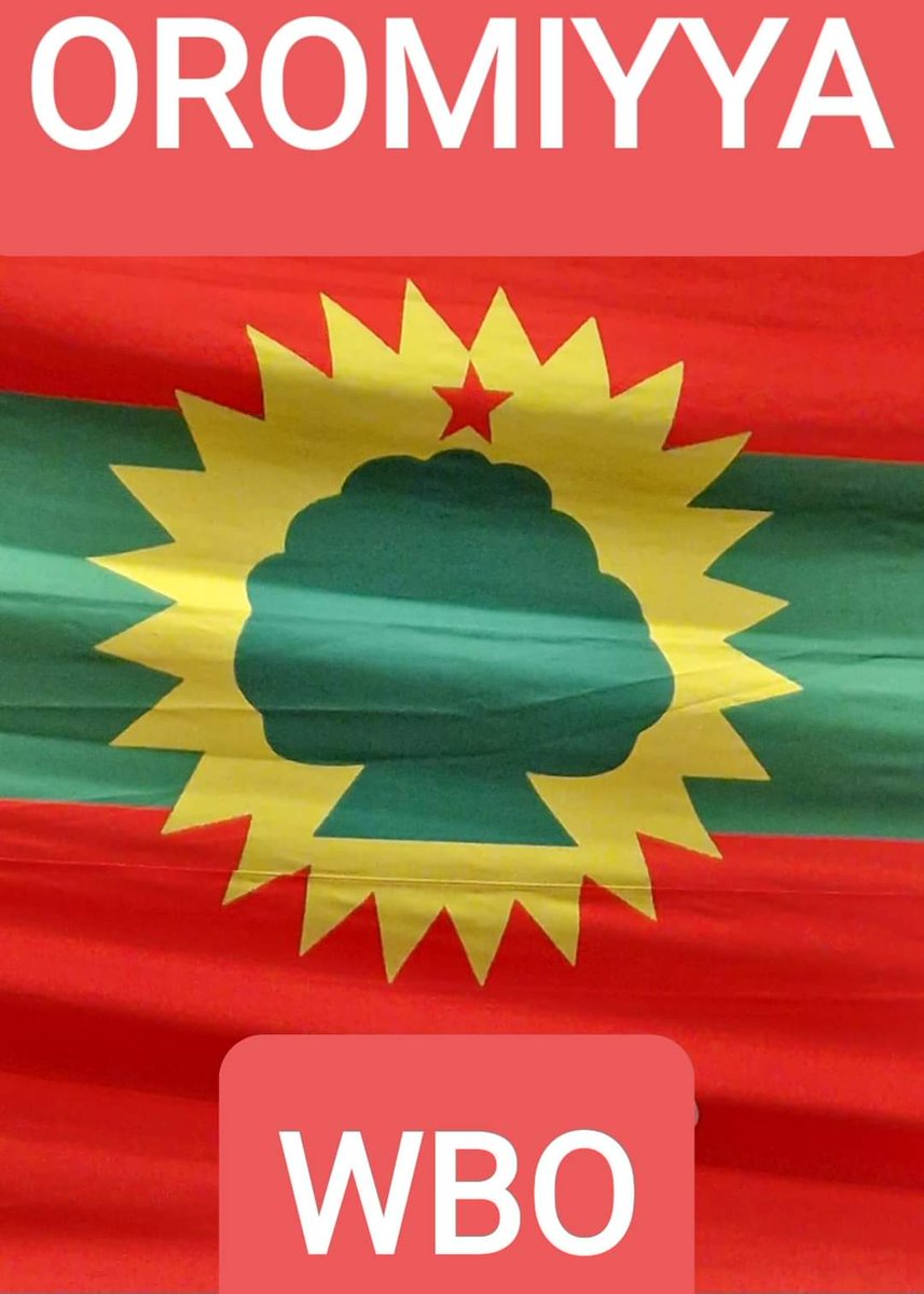 Any ways!
#SeeseeHabaduu 
#ABO_WBO_HAAWARUU 
#OROMIYAAN_BIYYA 
#TheFlag❤💚❤