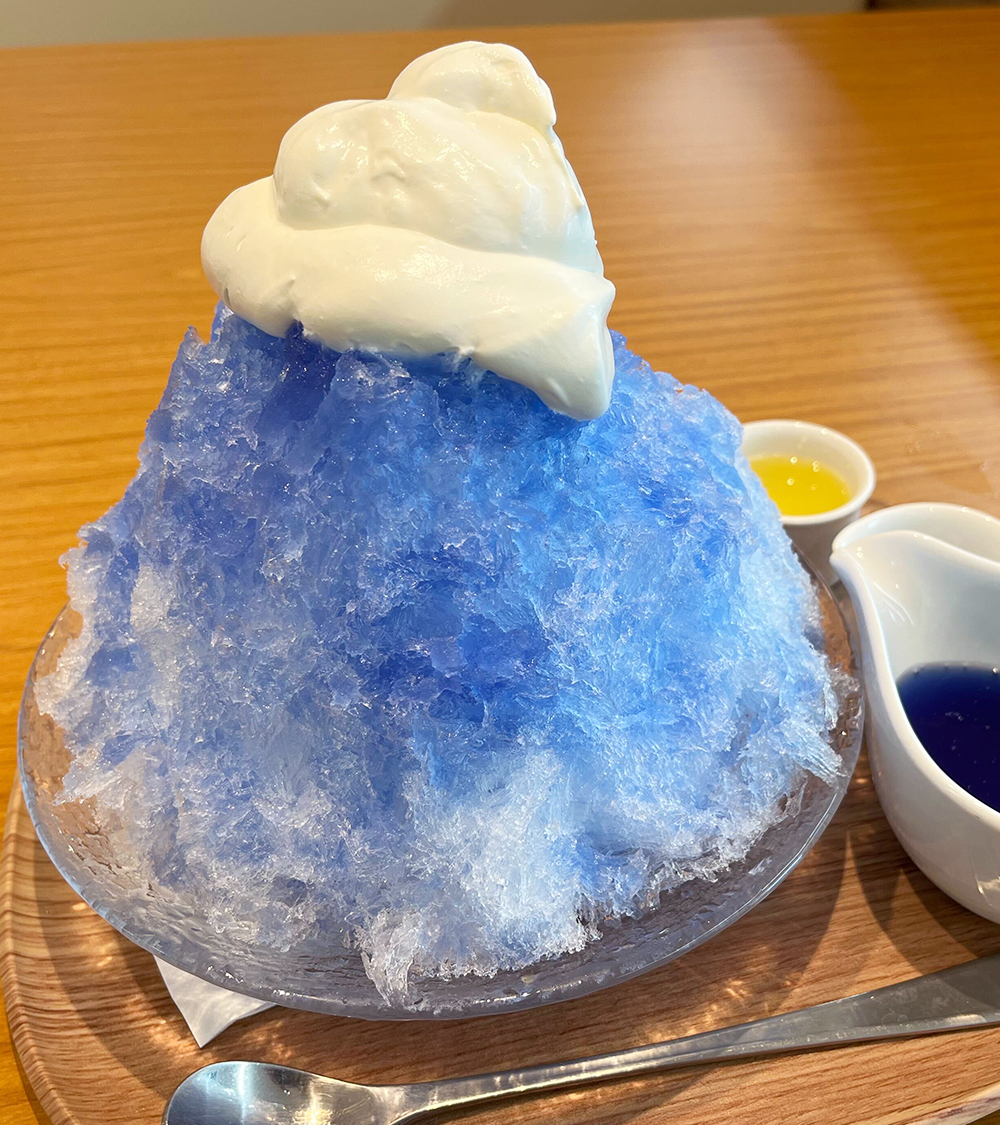 ココブルー 今日は #自由研究の日🧑‍🔬🧪 【自由研究】にお悩みのみなさん