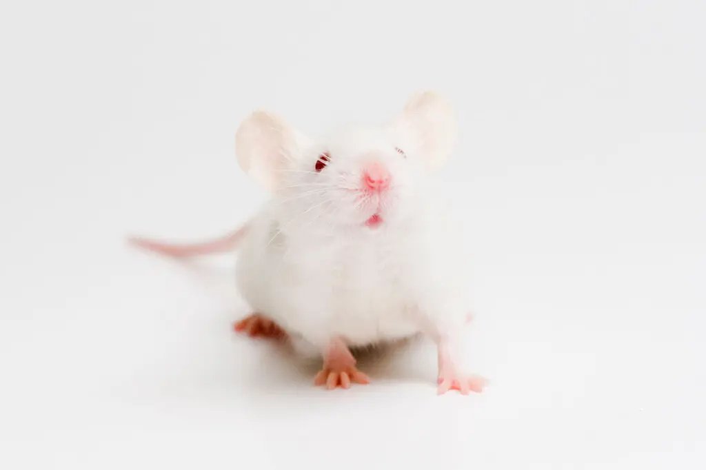 Agingdoc🩺Dr David Barzilai🔔MD PhD MS MBA DipABLM tweet media