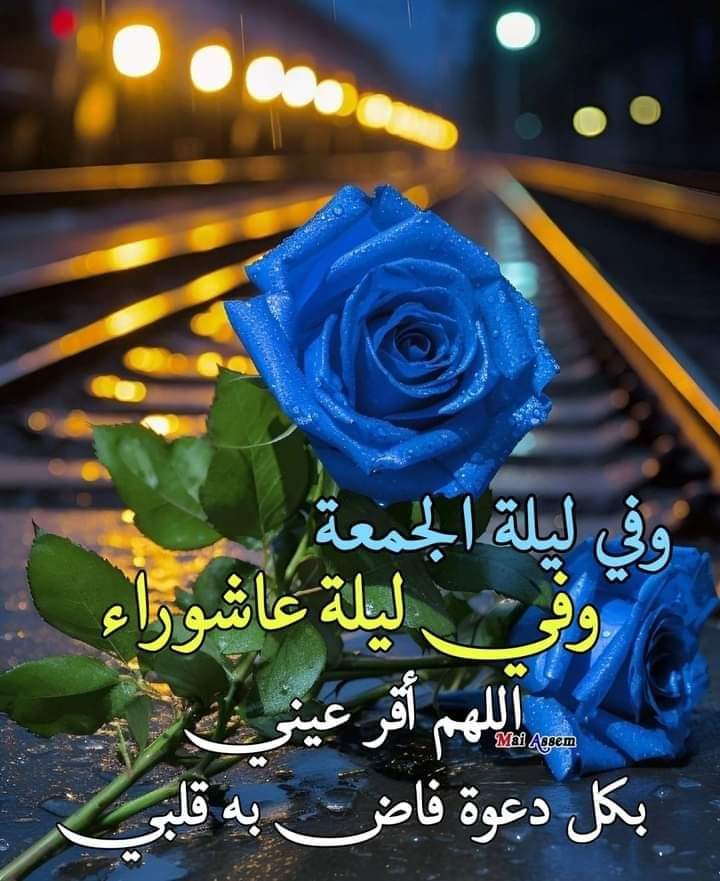 alaa amy tweet media