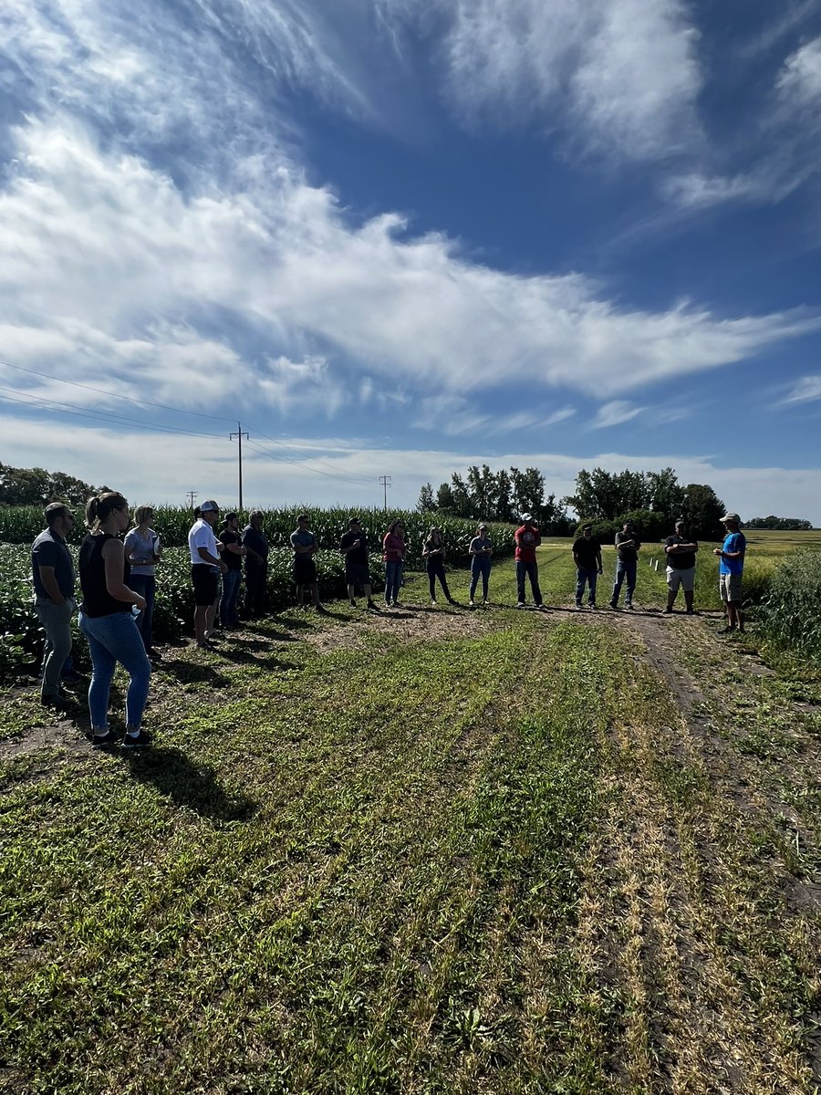 chadyanchycki's tweet photo. Was a great day for my @FPGenetics tour! Lots of industry leading genetics to talk about with our partners. A big thanks to Aaron Beattie for coming out today to talk about #CDCAnson and his oat breeding program.
#FarmingWins https://t.co/DbObDRiwBl