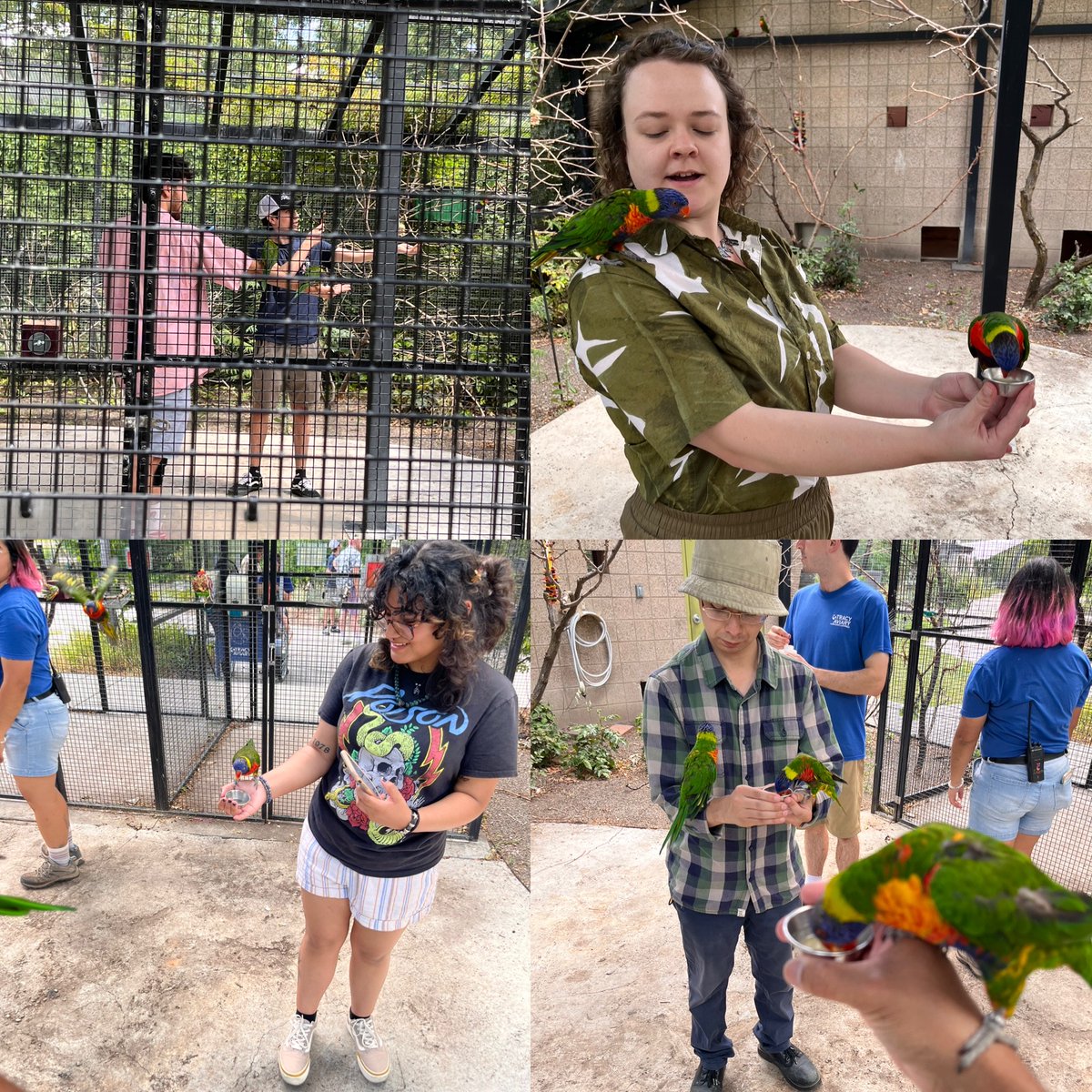 E_SantaMartinez's tweet photo. My @SaltLakeCC biology students visited @TracyAviary and learned so much about birds, their biology and conservation. Thanks for having us! 🦜🦚🦩
#saltlakecc #biology #fieldtrip #tracyaviary #utah #education https://t.co/ieGQQ8bZ9s