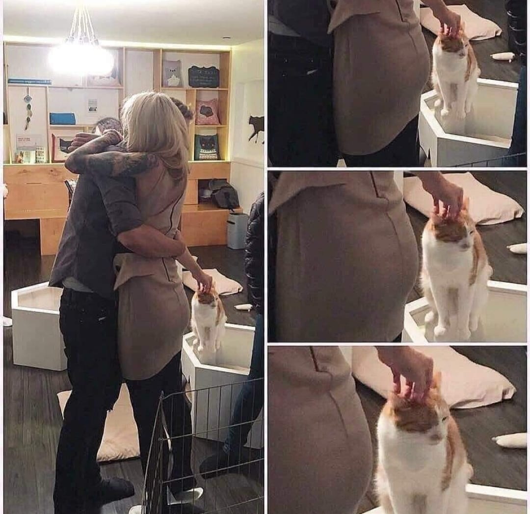 Priorities !! 😻