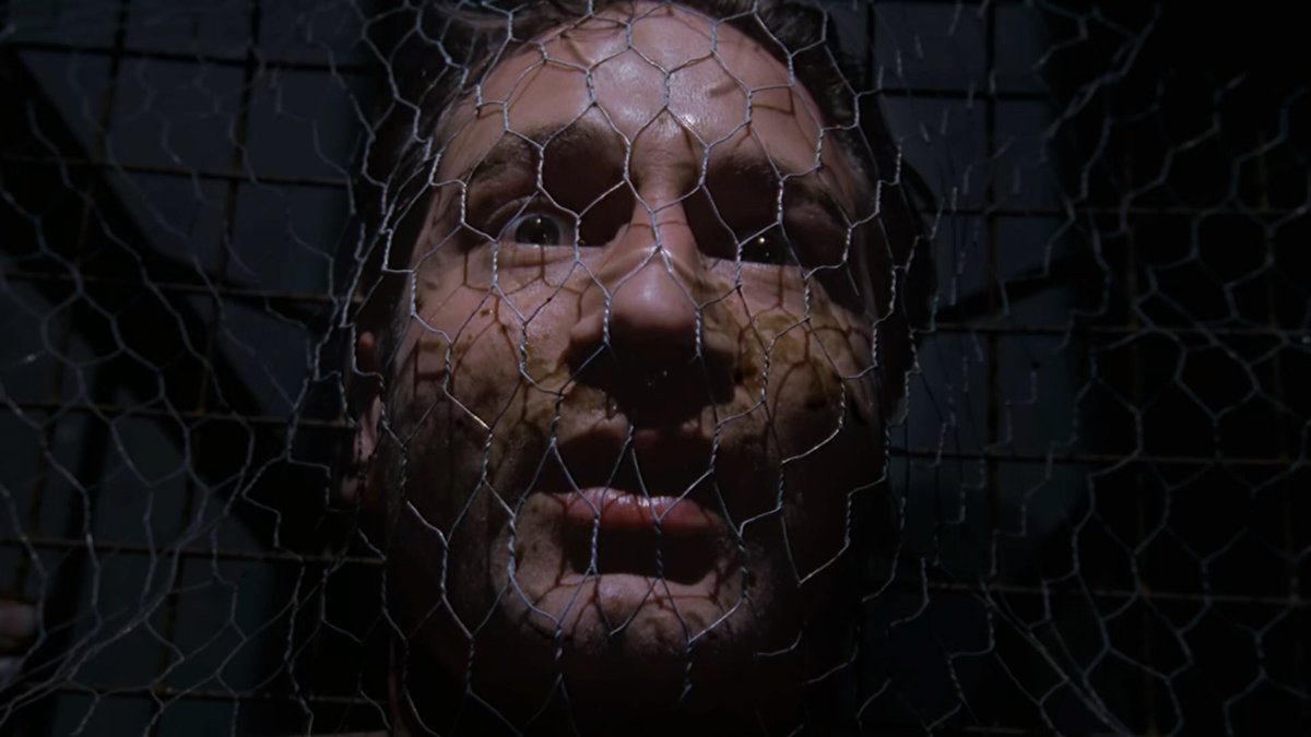 Ɛῳ, Ąɱყ! tweet media