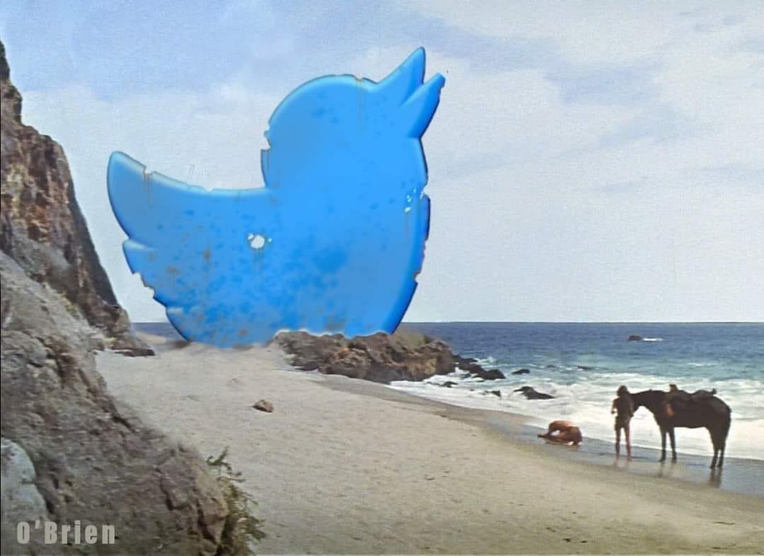 Too soon? #twitter #TwitterLogo