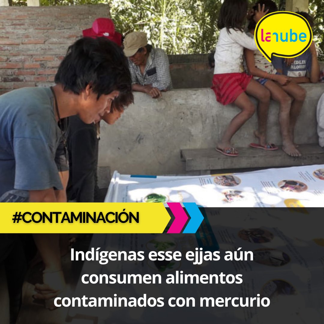 todosnube's tweet photo. #Contaminación | 🧑⚕️👨⚕️Las brigadas médicas les recomendaron consumir especies que no tengan escamas, así como las cabezas, hígado, grasas y aceites de los pescados.🐟
📷@CPILAP
👉Puede leer la nota en: https://t.co/lm1f7nwViu
#TodosNube #Cpilap #Mercurio #Minería https://t.co/P2Ii7Fa9Ds