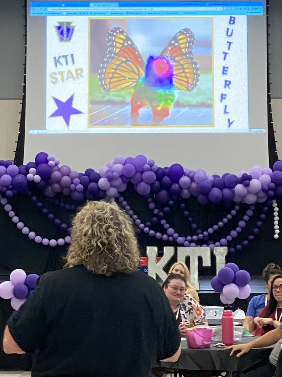 keystonespa's tweet photo. Thank you so much Tracy for sharing your amazing 🌟 story reminding the campers that they are NOT “just teachers”, they are not just stars but they are KTI butterflies with voices to be heard! #KTISummit https://t.co/0WOgCQ8bjt
