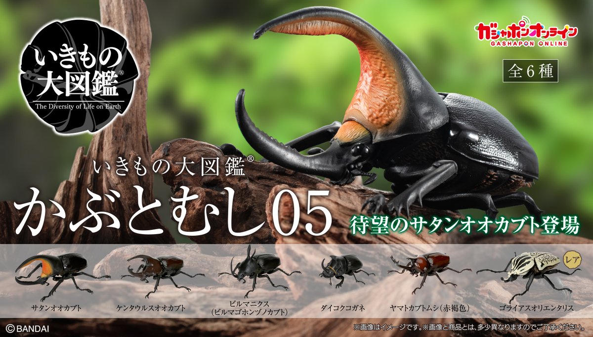 氷感スタジオ インセクトシリーズ オオカブトムシ（大王ヒョウカブト） 氷感スタジオ インセクトシリーズ オオカブトムシ（大王ヒョ