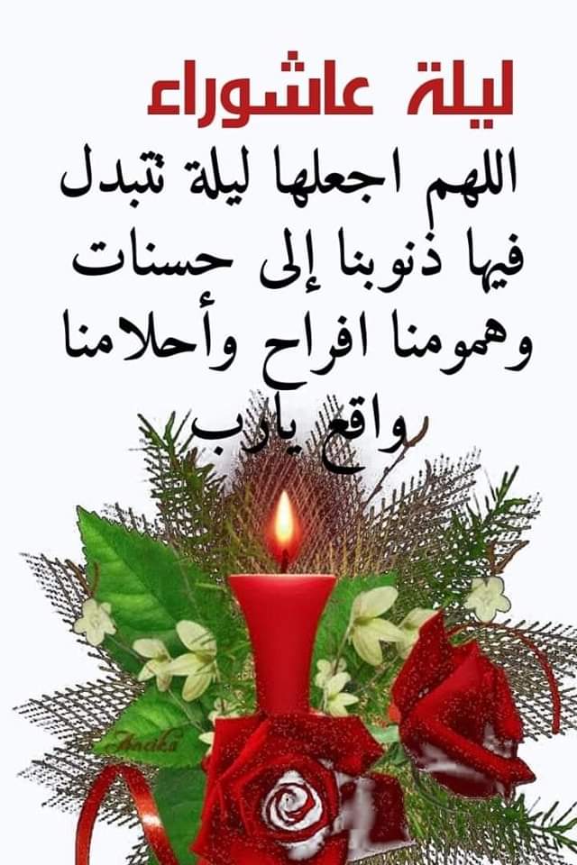 alaa amy tweet media