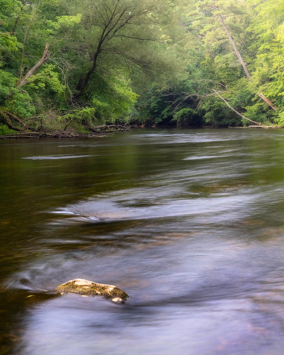 TMSkyHumPhoto's tweet image. Knee deep in the Rouge River. #photography #landscapephotography