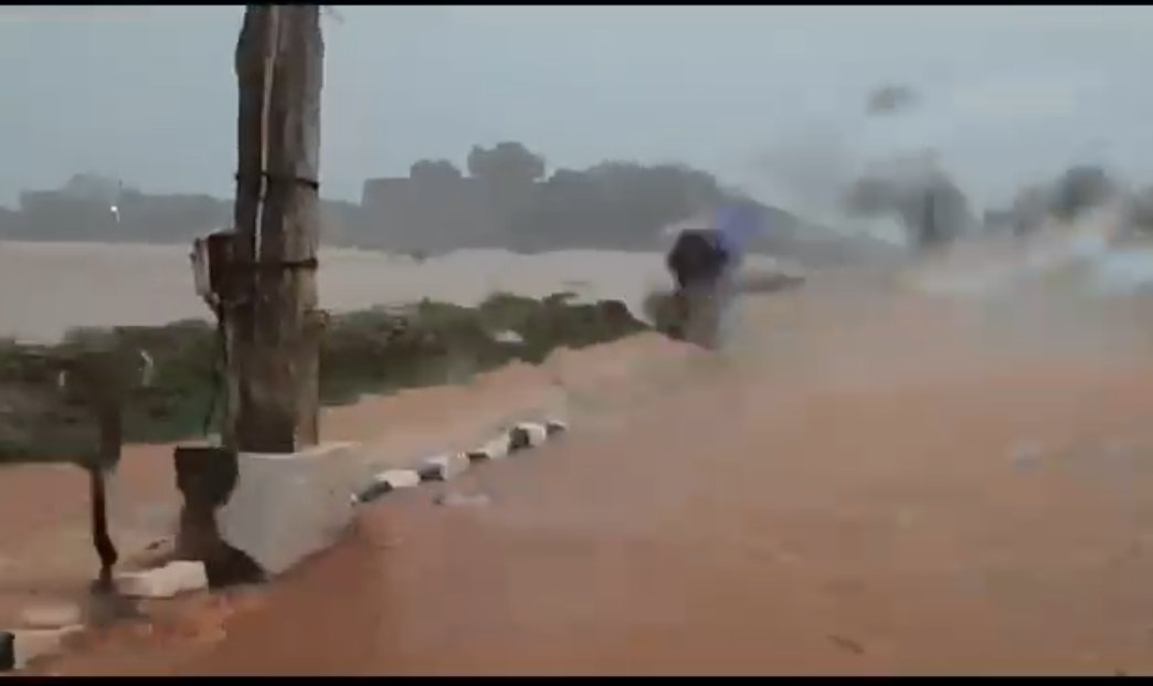 rishita allika tweet media