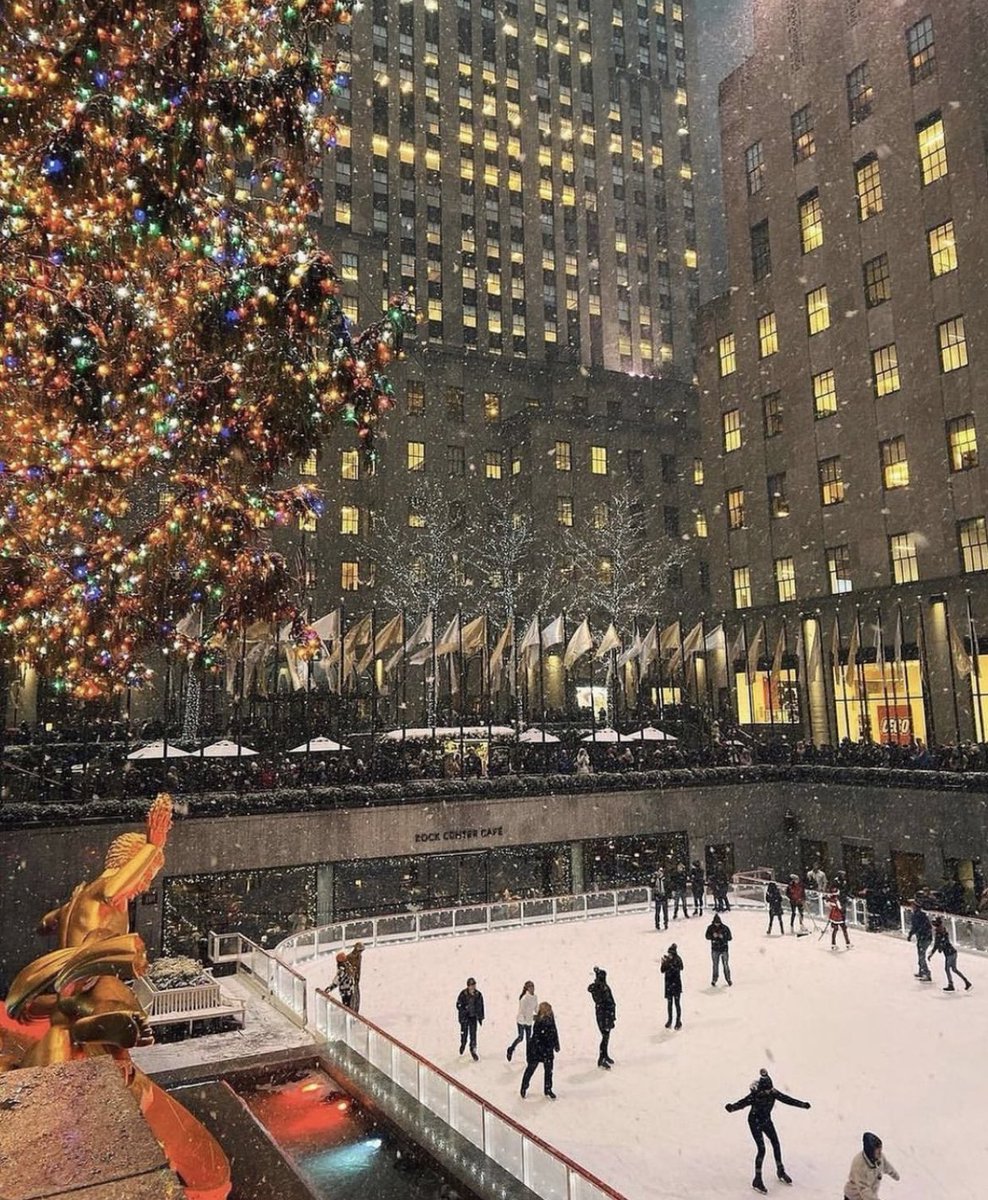 𝒩𝑒𝓌 𝒴𝑜𝓇𝓀 🤎