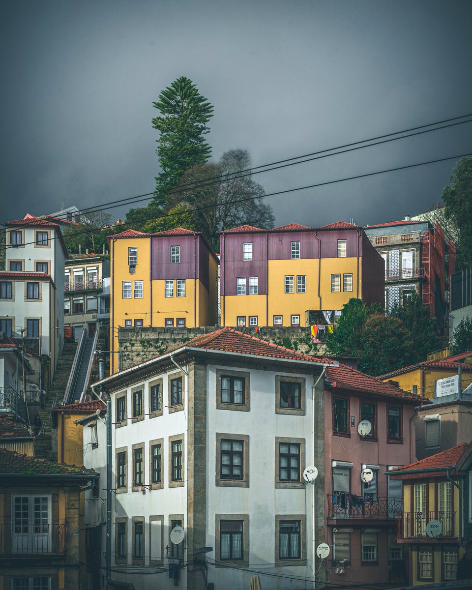 Parafinas1's tweet image. My available Editions on Tezos:  

📸"Miragaia" (Photography) 
14/20 
2 xtz  

🩰"Fame" (MixedMedia) 
13/20 
2 xtz  

*LINK on comments
#TezosCommunity