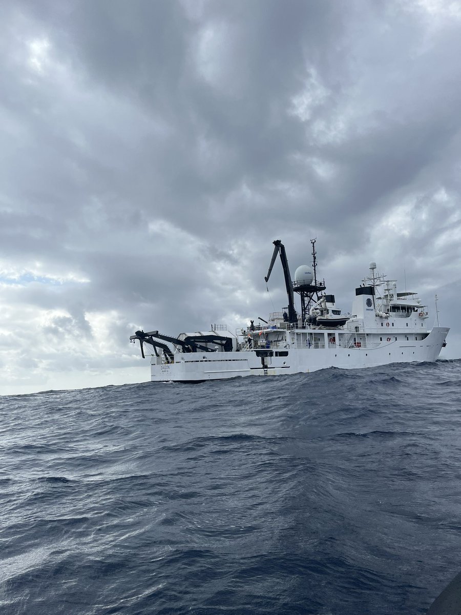 Devin Harrison tweet media