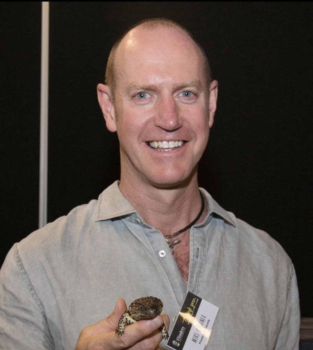 Hi, I'm Professor Mike Gardner <a href="/MikeG_Lizards/">Mike Gardner</a>, the head of the Legs <a href="/Flinders/">Flinders University</a>. We work on evolutionary questions in sleepy lizards - continuing work started in 1982 by Mike Bull -as well as the endangered pygmy blue-tongue. The highly social gidgee skink is where my work began