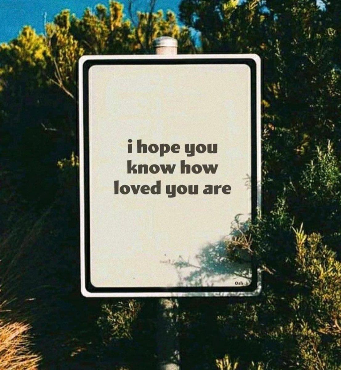 🌹🌹🌹🌹🌹