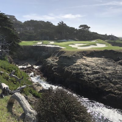 ProGolfJetBiz's tweet photo. #NewProfilePic https://t.co/vATYq3Whk1