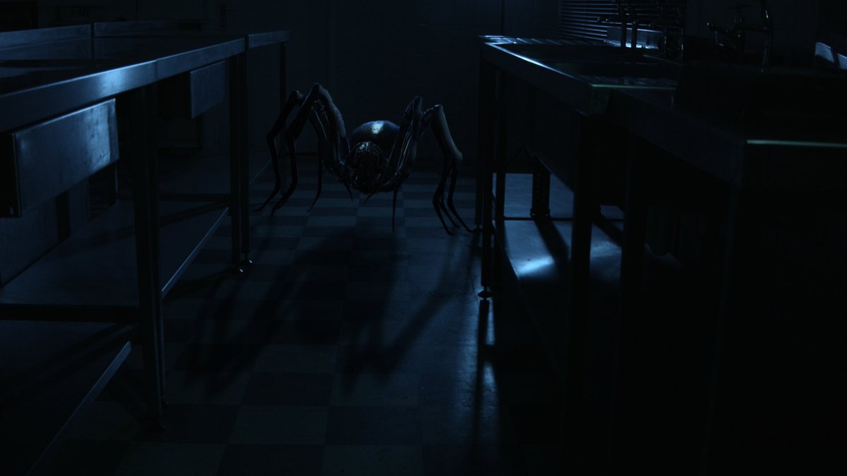 Back in post with Creek Encounters, close to picture lock, which also includes grading and VFX 🕷️
 #horrormovie #scifi #Aliens