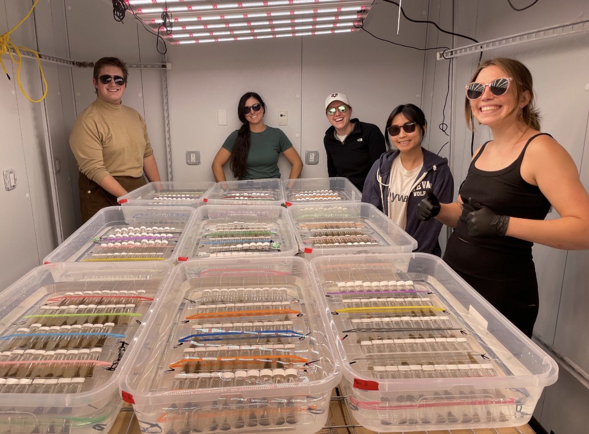 Jasmine Krause (she/her) tweet media