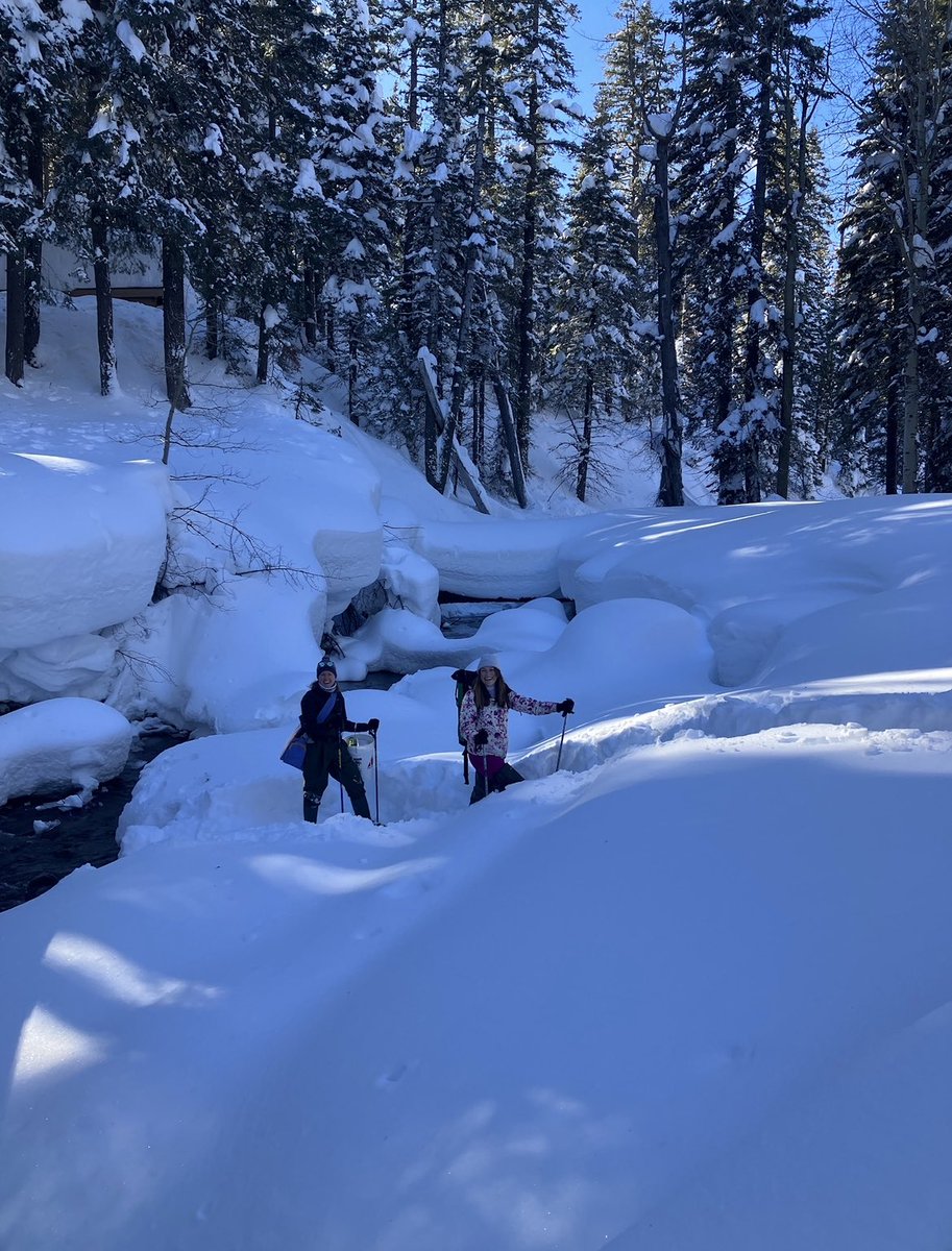 Jasmine Krause (she/her) tweet media