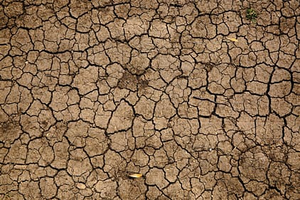 SeattleCarShip's tweet photo. It's getting drier in Washington State.
https://t.co/itiBSJ35ul

#drought #emergency #drywells #salmonmigration #fishhatcheries

Follow Us!      
Pinterest: #seattlecarshipp
Facebook: https://t.co/r7F7QUHEVH https://t.co/YxobKKlyBg