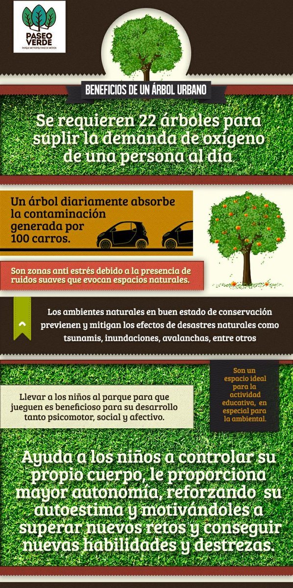 vivanlosarboles's tweet image. De acuerdo con algunas investigaciones de la Universidad de Florida, las experiencias que se tienen al relacionarnos con #arboles ayudar a mejorar el aprendizaje y memoria de las infancias y adultos 🍃 
ecologiainfancia.com/los-ninos-que-…

#ArbolUrbano #Bienestar #MedioAmbiente
