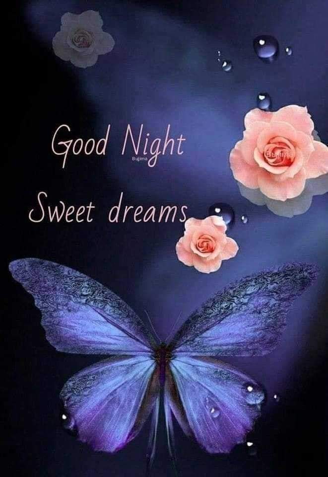 DelValleGreen's tweet photo. Feliz noche mis corazones.💙🌟💙 https://t.co/9W2ynHn2sB