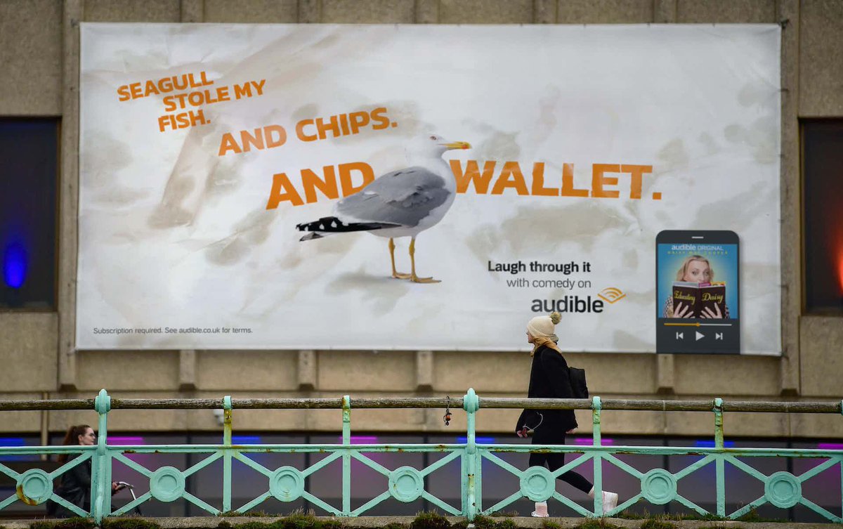 AnticaLTD's tweet photo. Seagull alert. https://t.co/G3Ot7X1Cal