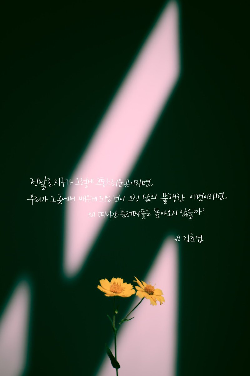 #김초엽, 순례자는 왜 돌아오지 않는가