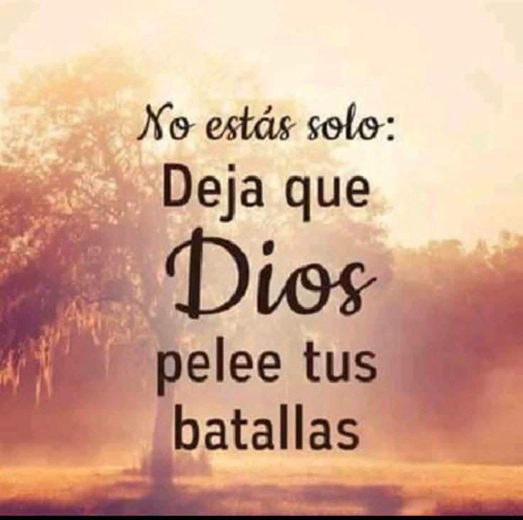 faustinodelgado's tweet photo. Padre Bueno,en este mundo nunca nos descansaremos ni estaremos d reposo,porque tenemos grandes batallas q pelear.
Pero te doy muchas gracias Padre amado,porque Tú eres el q peleas mis batallas,por lo tanto mi victoria está asegurada.
Estando Tú a mi lado soy mas q vencedor.
AMÉN. https://t.co/YNE1GQv4Ar