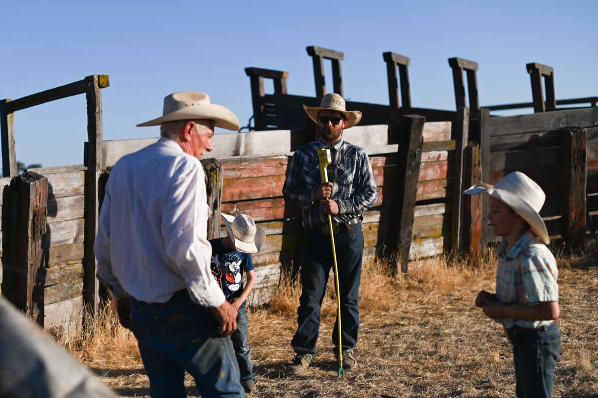 California Cattle Council tweet media