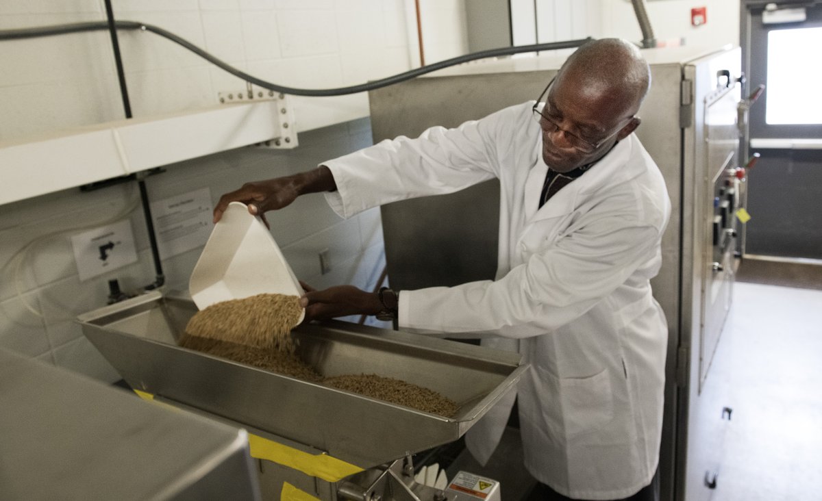 ArkAgResearch's tweet photo. Arkansas Ag Experiment Station research shows beer made with microwave-dried rice is no different than air-dried rice. https://t.co/KMOjy2f554 @AginArk  @arkansas_rice @AgisAmerica #SouthernAgResearch https://t.co/RmA5h2W1hw