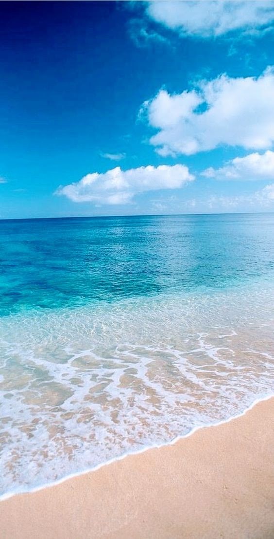 taskiy2's tweet image. Good morning !