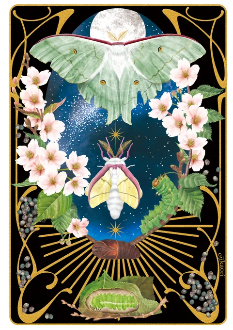 #みんなの推し虫 オオミズアオ翅がボロボロになっても美しい学名はActias alienaだけど、旧学名Actias artemisの方が雰囲気的にはピッタリな気がしています。(aliena →狂気の、変わった、エイリアン artemis →ギリシャ神話 月の神) 