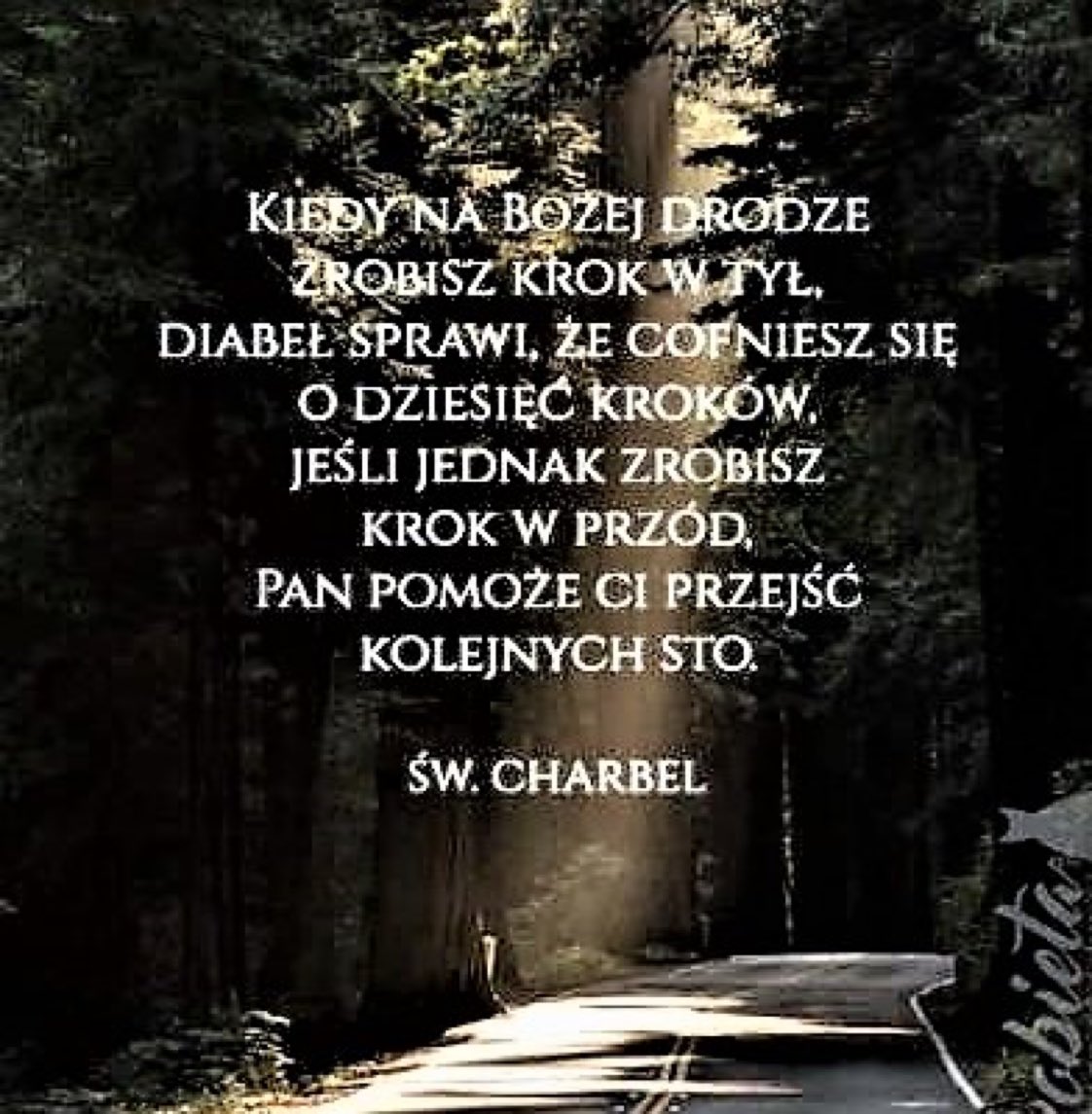 MarzenaBrejnak's tweet photo. Nie wchodż w dialog z diabłem, zakończ rozmowę
zanim padnie pierwsze słowo " #ŚwCharbel #28Lipca https://t.co/XUFtqfx4j7