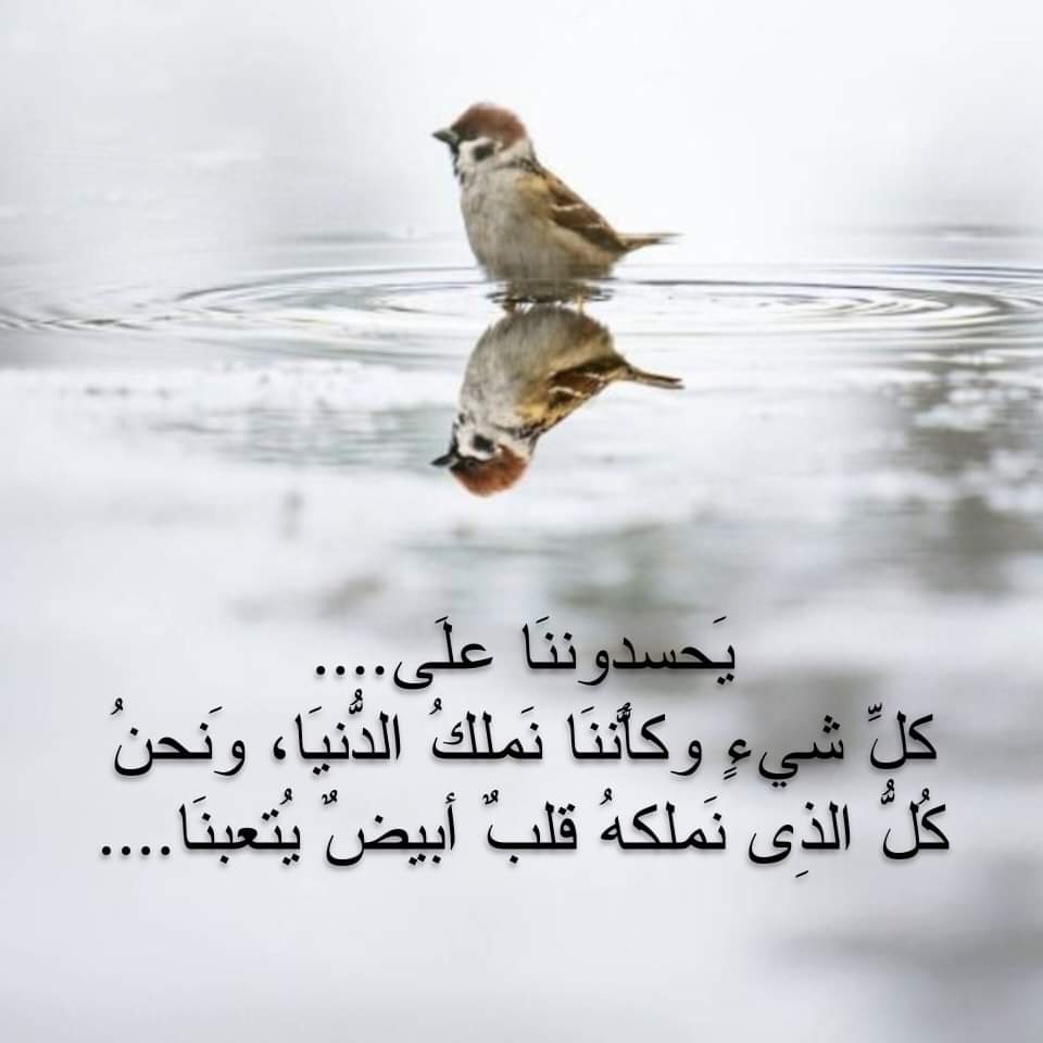 عاشق وطن (@rodoanrodoan77) on Twitter photo 