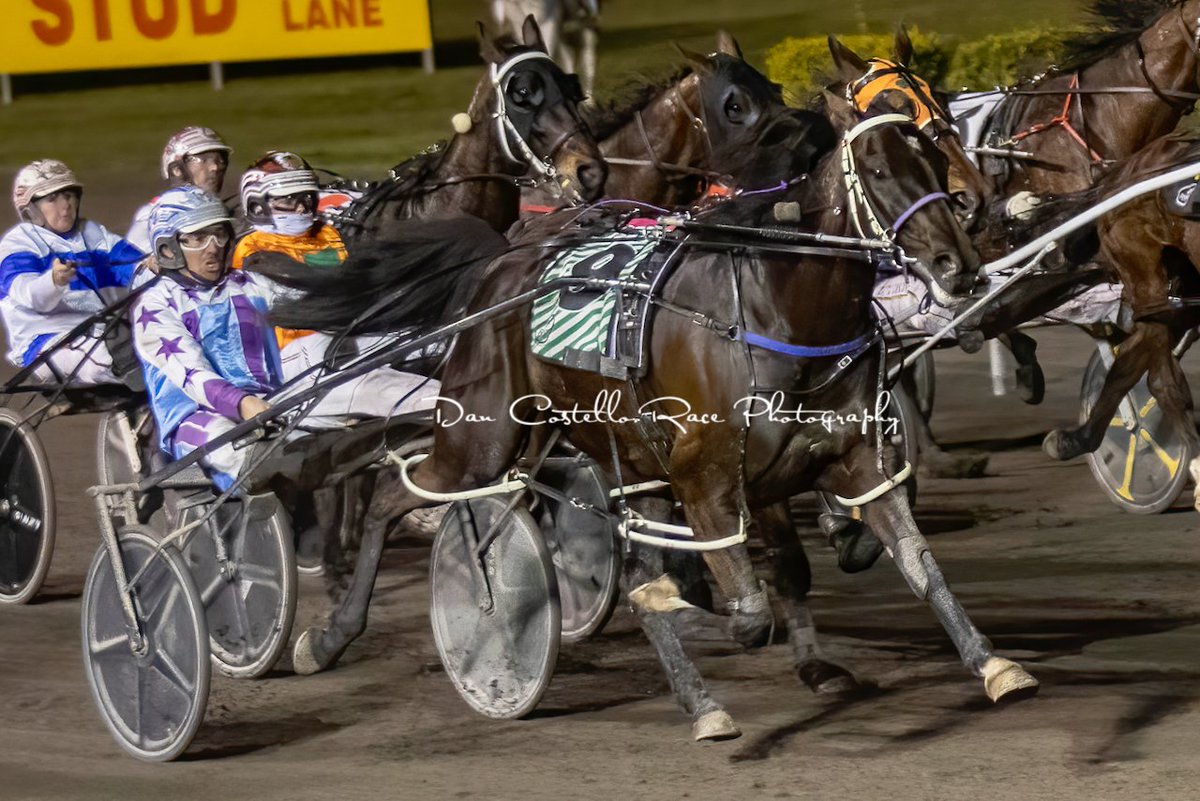 DanRacingWrap's tweet photo. Last for the day @redcliffe_hrc &amp; @McmullenPeter swoops late down the outside with Awholelotofpretty to win for trainer @Pat444 https://t.co/G82IhD4UgV