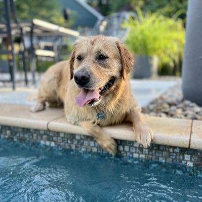 DepoRob's tweet image. #NewProfilePic