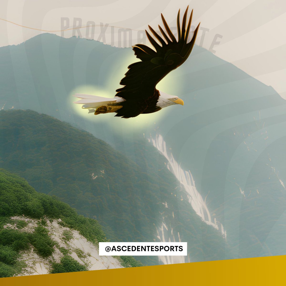 ascendentesport's tweet photo. Volamos por los cielos, vamos a cazar ๐ฆ
๐
#GoAE https://t.co/7vDXUeP7pk