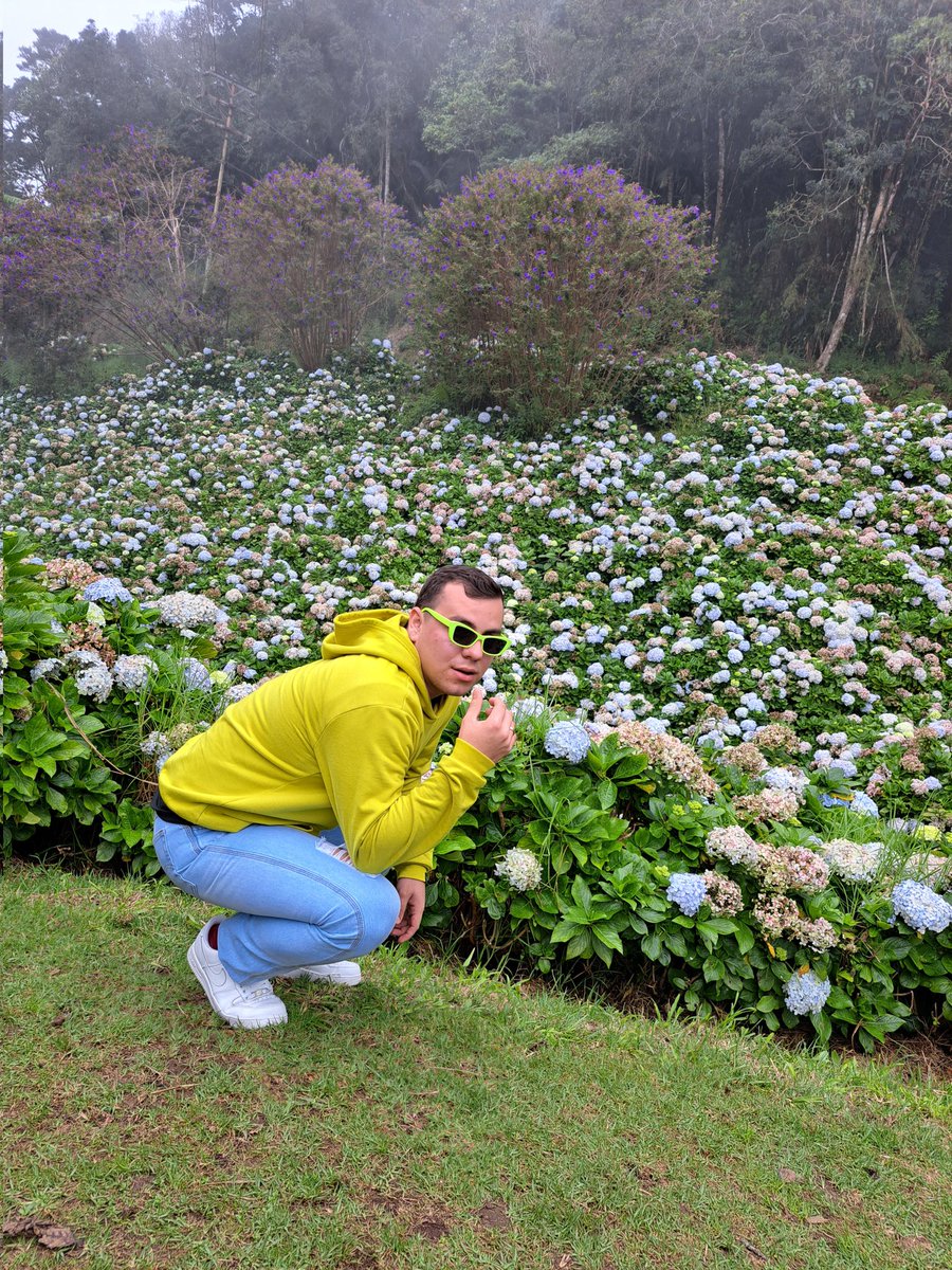 EDAnza02's tweet photo. Que rico fue la Colonia Tovar 🇩🇪📍
.
.
.
.
.
#Venezuela #ColoniaTovar #Jardines #Naturaleza #Turismo #Hortensias #RinconVenezolano #PequeñaAlemania #SiguemeYTeSigo #Green #Travel https://t.co/M1KfJqX2LC